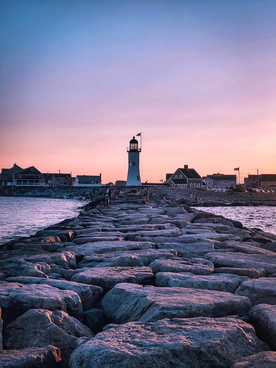 Biological neural pathways inspiring network routing algorithms